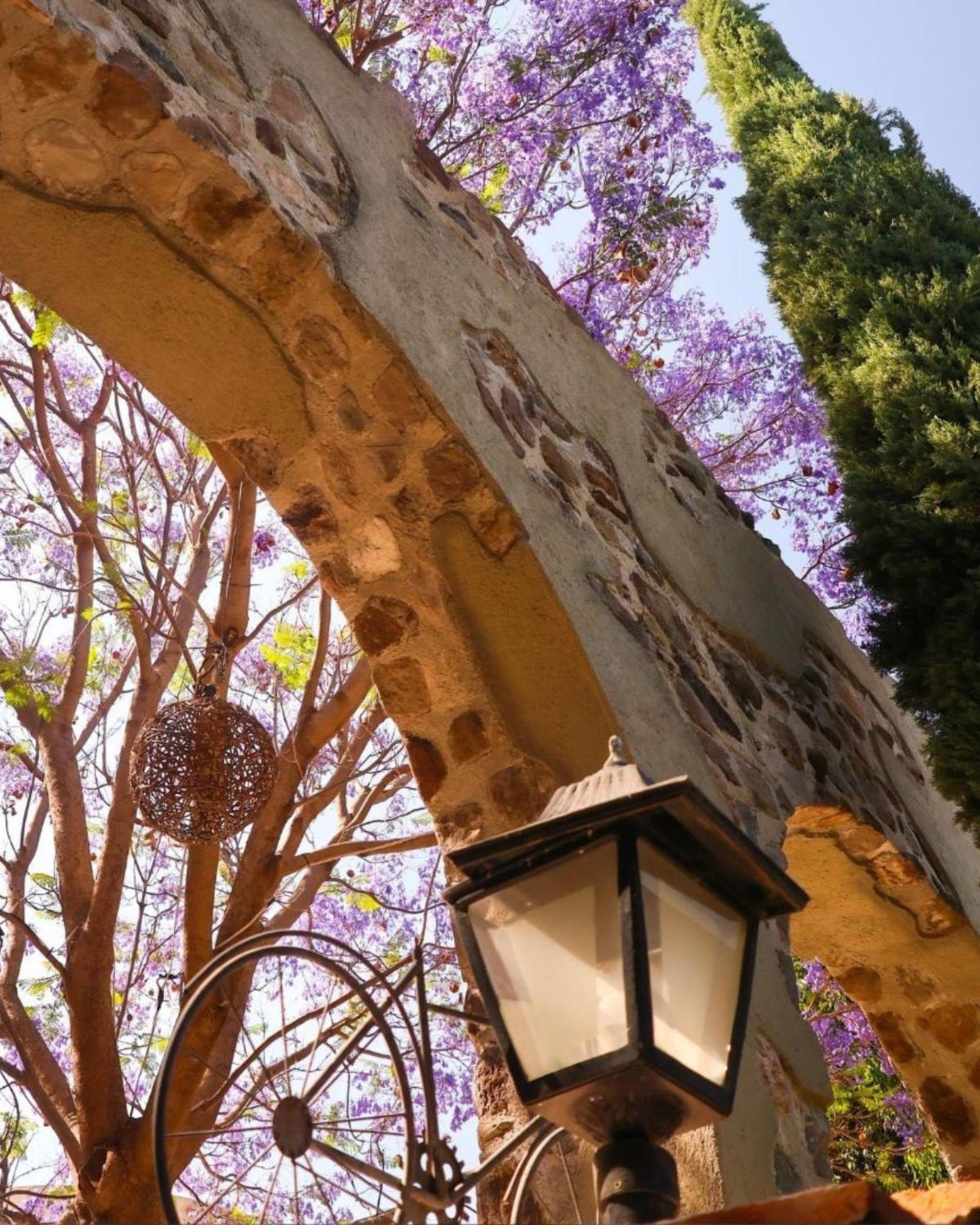 Suites Campestres Montebello Bernal Kültér fotó