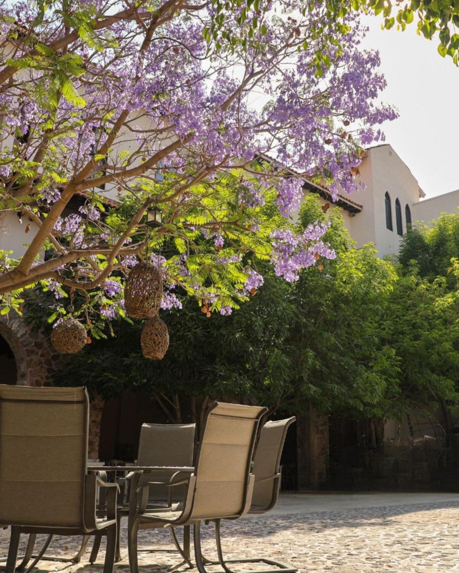 Suites Campestres Montebello Bernal Kültér fotó
